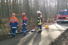 20150228_JFDienstVU_Bomhoff01_feuerwehr