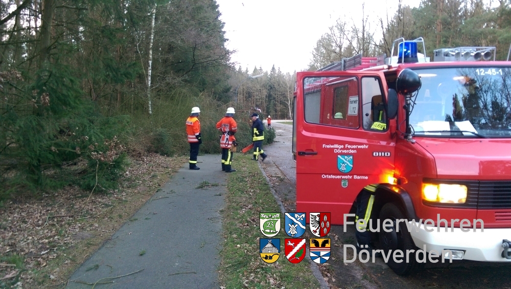 20150321_BaumaufGehweg01_Bomhoff