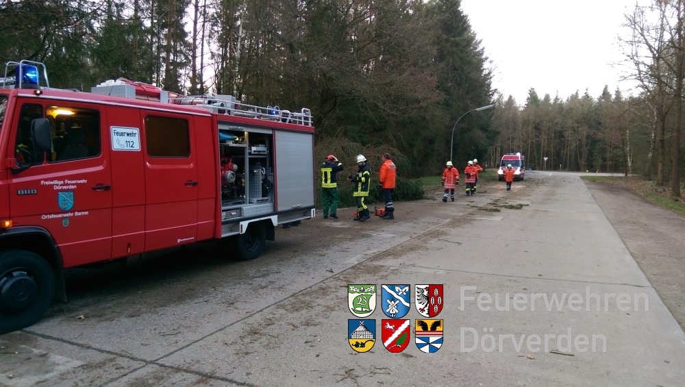 20150321_BaumaufGehweg02_Bomhoff