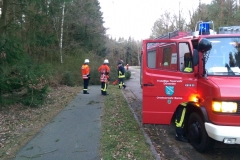 20150321_BaumaufGehweg01_Bomhoff