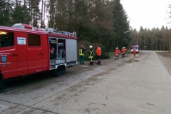 20150321_BaumaufGehweg02_Bomhoff