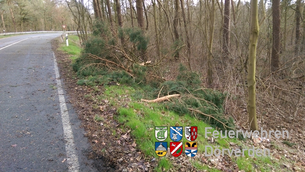 20150331_BaumaufStrasse01_Bomhoff