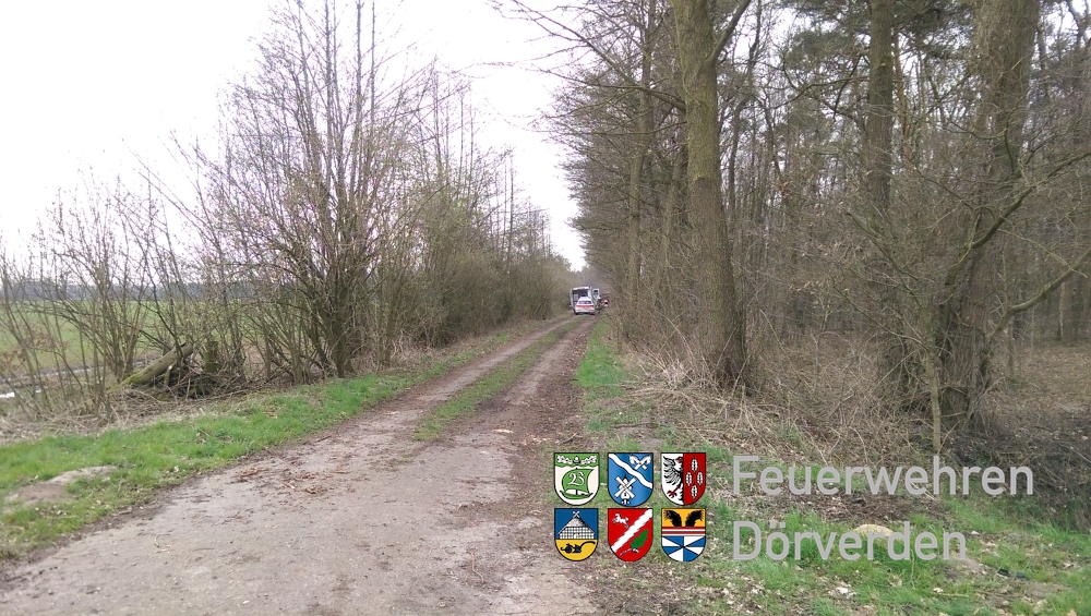 20150407_SturzvonBaum01_Bomhoff