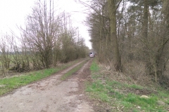 20150407_SturzvonBaum01_Bomhoff