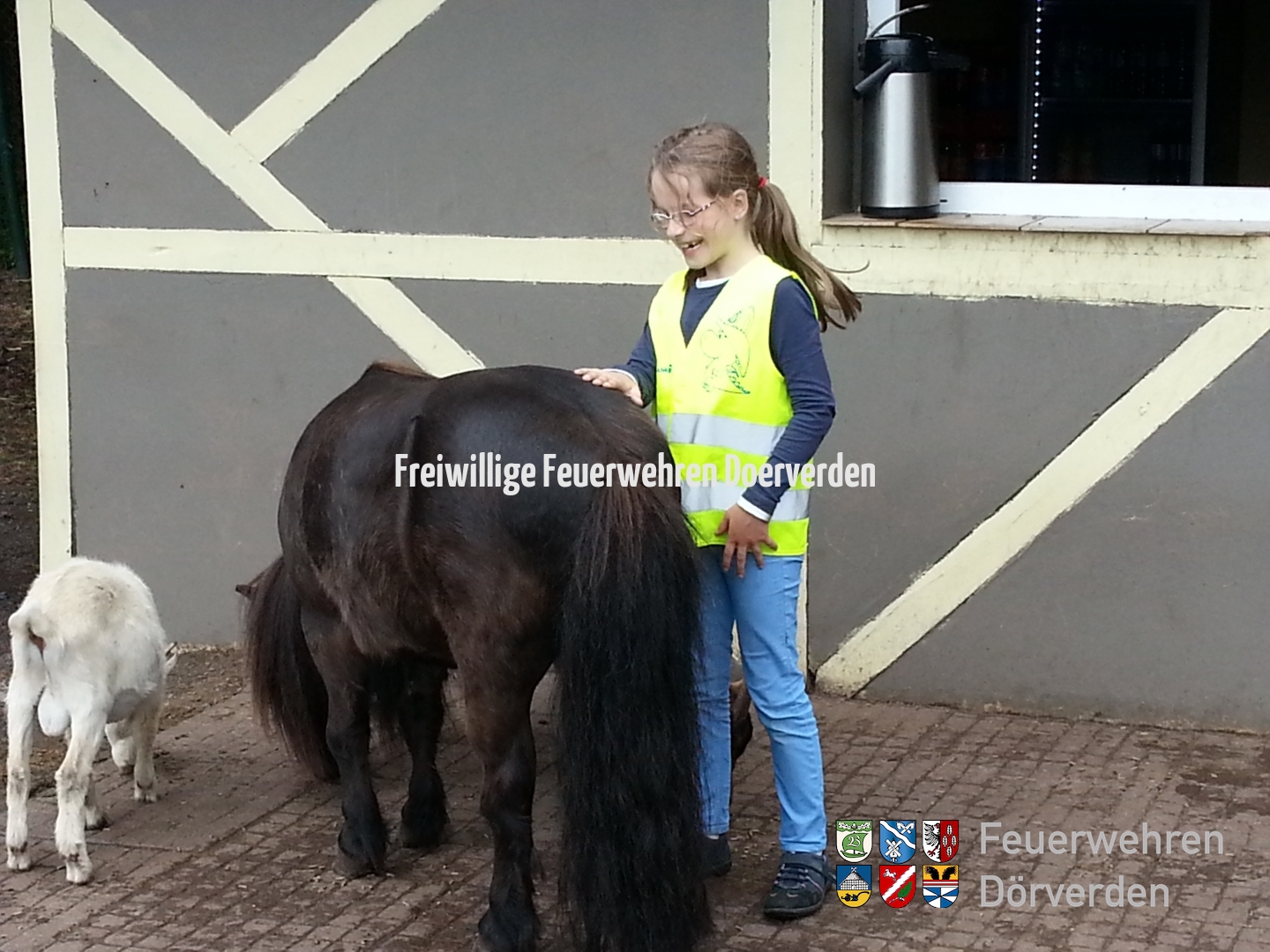 20150627_KFWestenSerengeti02_hoefken