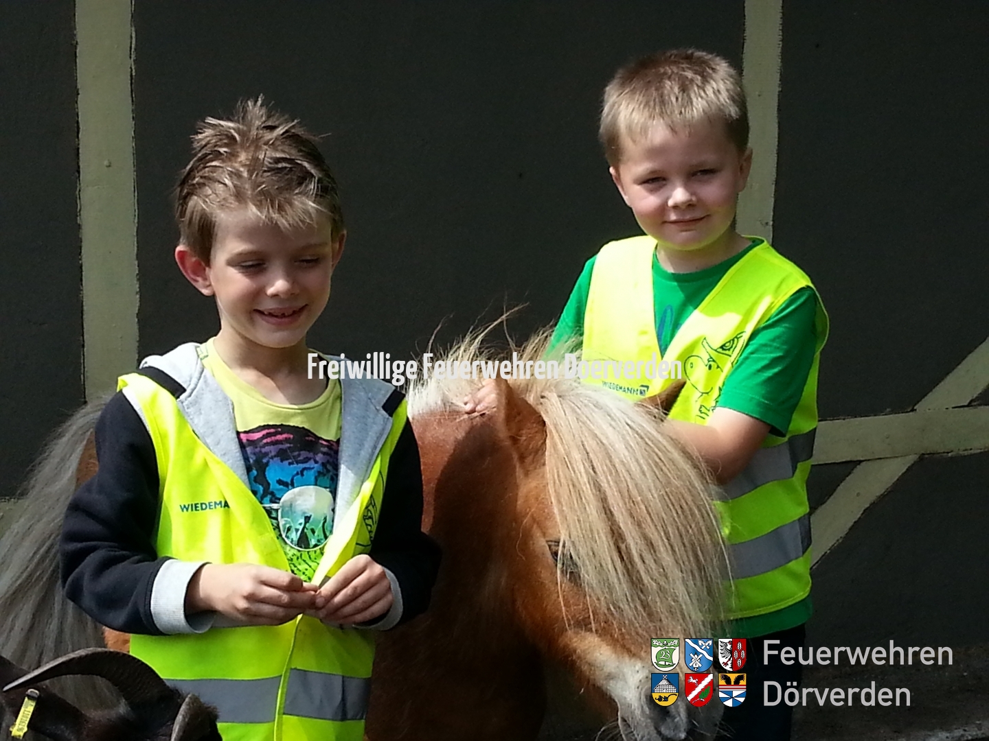 20150627_KFWestenSerengeti03_hoefken