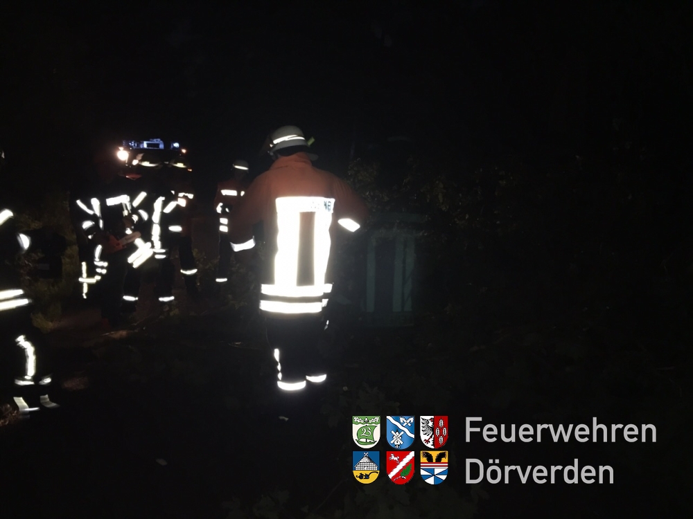 20150803_BaumaufStrasse02_Bomhoff