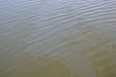 20160517_Oel2_Doerverden_Schleusenkanal_Hoefken37