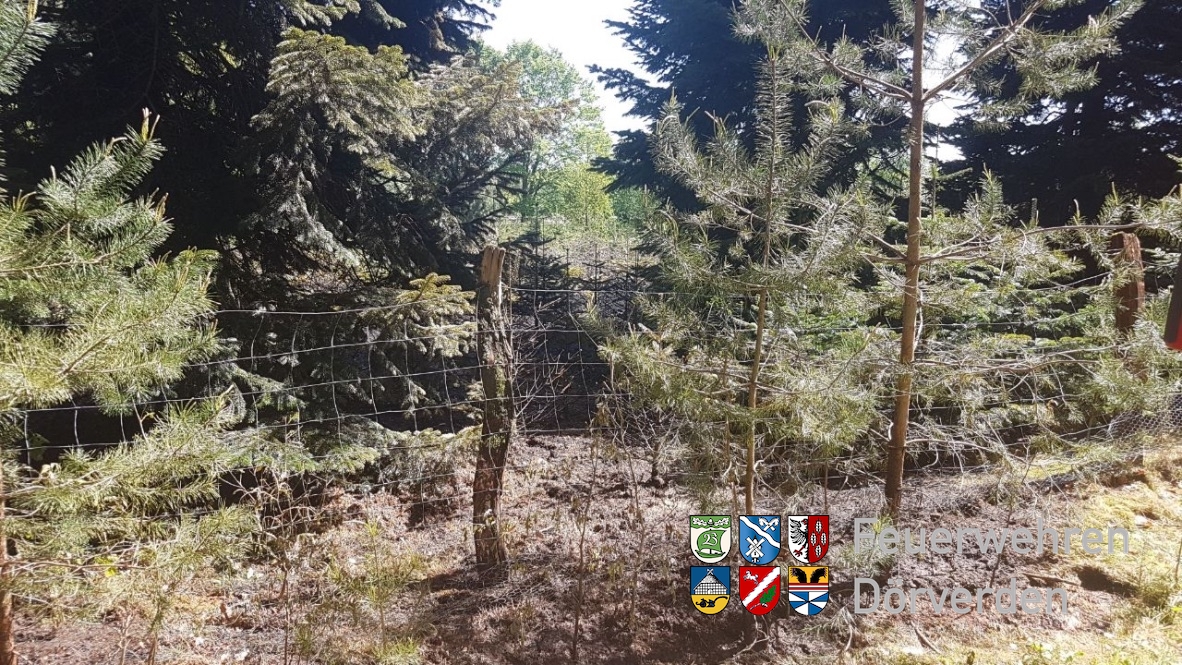 20180508_Waldbrand_05_Hassel