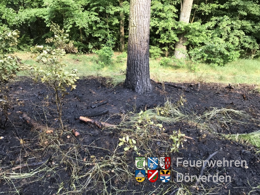 20180525_Bahndammbraende_01_Bomhoff