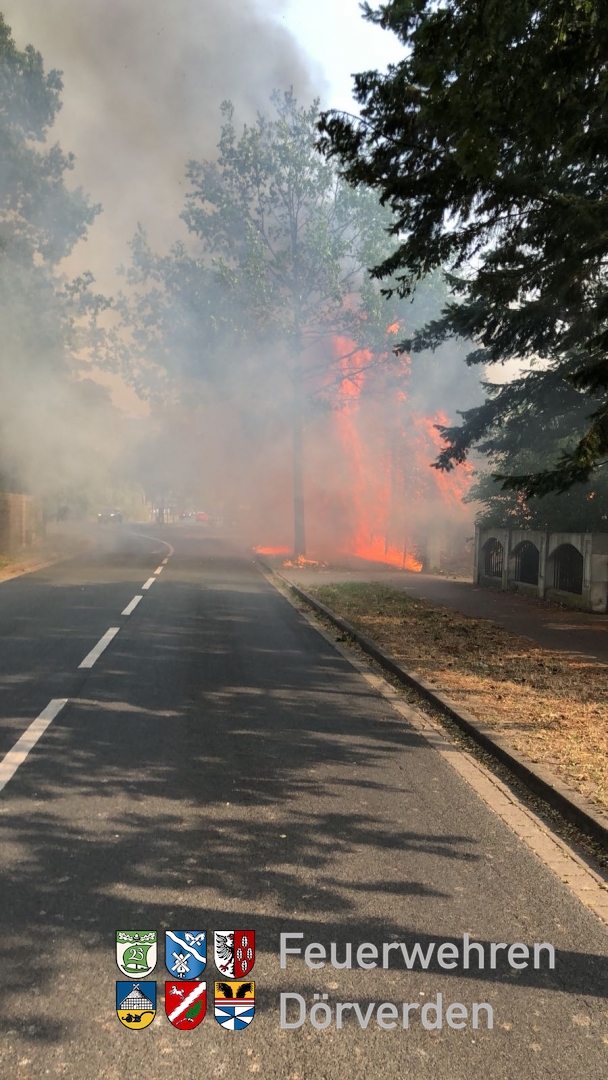 20180808_FlächenbrandHuelsen_01_Brandt
