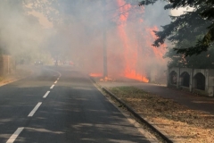 20180808_FlächenbrandHuelsen_01_Brandt