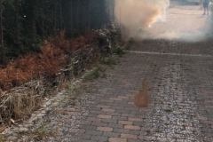 20180808_FlächenbrandHuelsen_02_Brandt