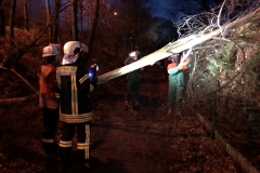 20190127_T1Barme_01_Bomhoff