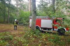 IMG-20190813-WA0003