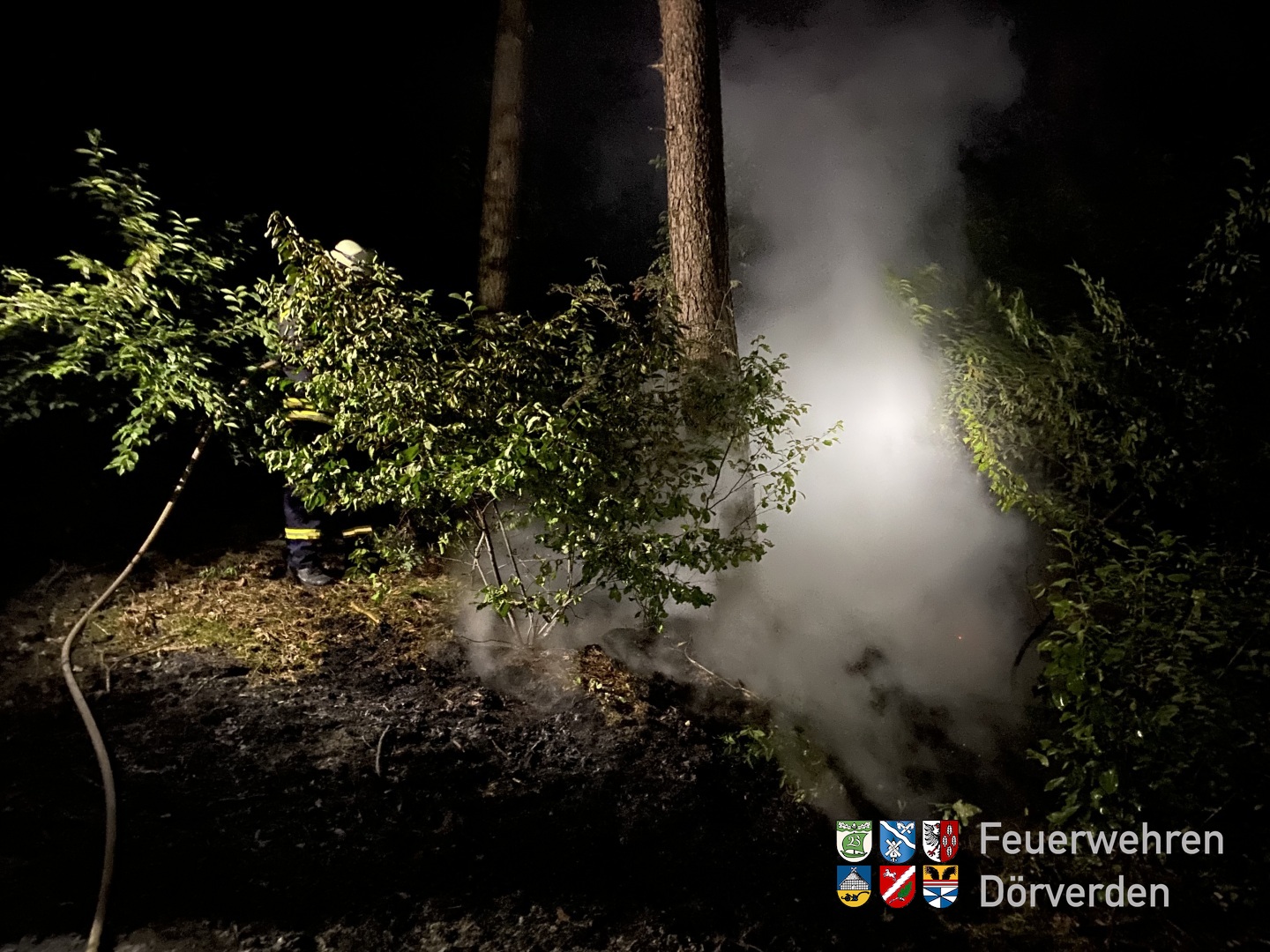 20220723_Waldnrand_02_Bomhoff