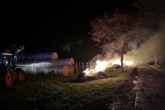 IMG_20241