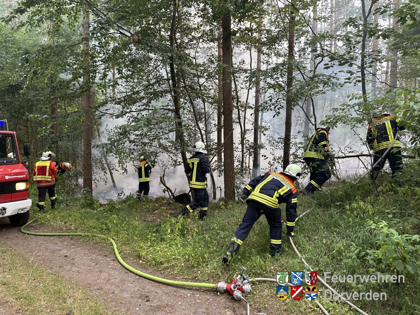 20230620_Waldnrand_01_Bomhoff