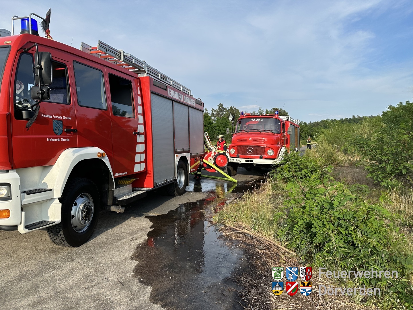 20230620_Waldnrand_03_Bomhoff