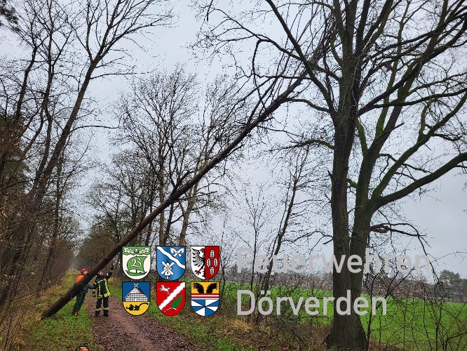 Sturm3