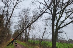 Sturm3