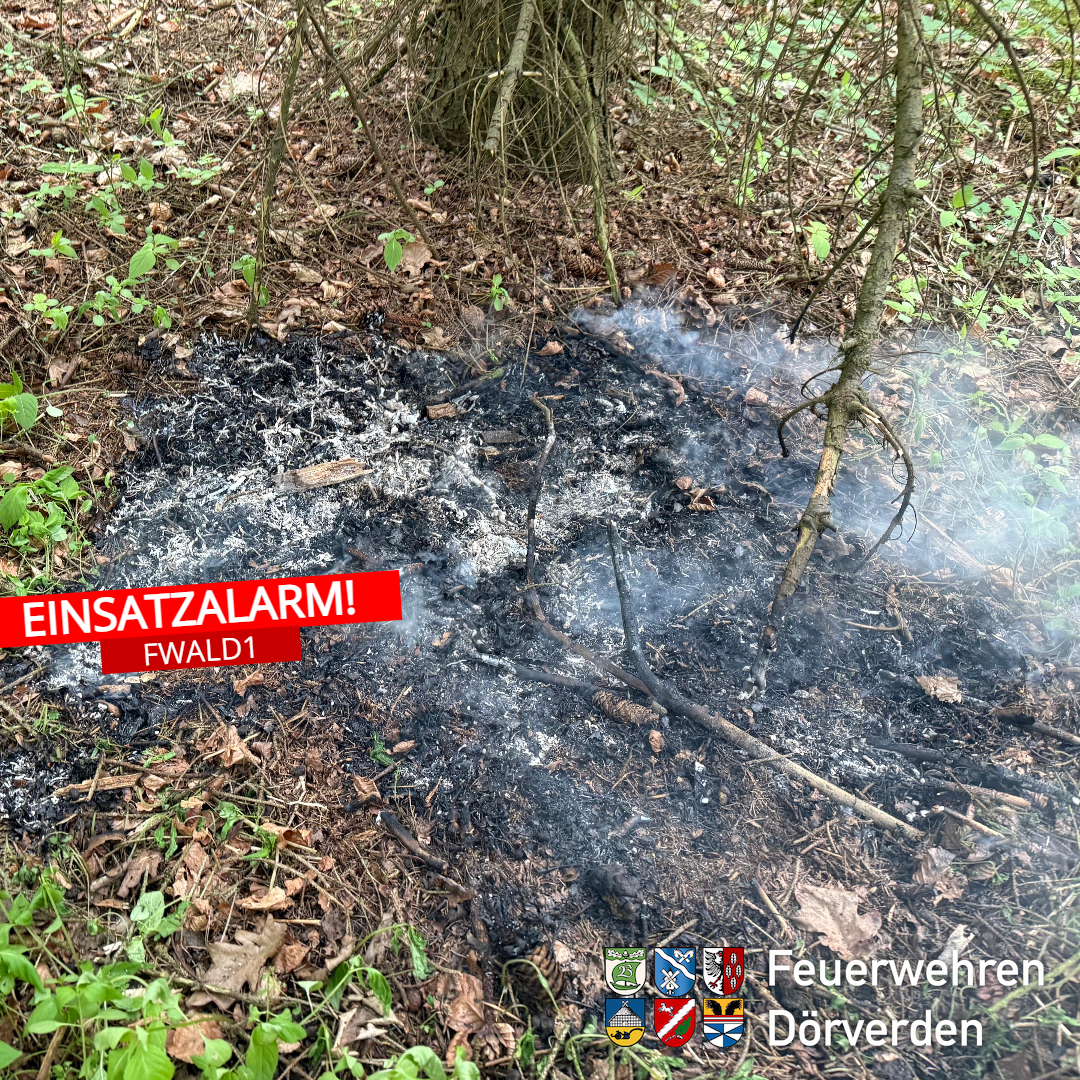 20250506WaldbrandBomhoff001