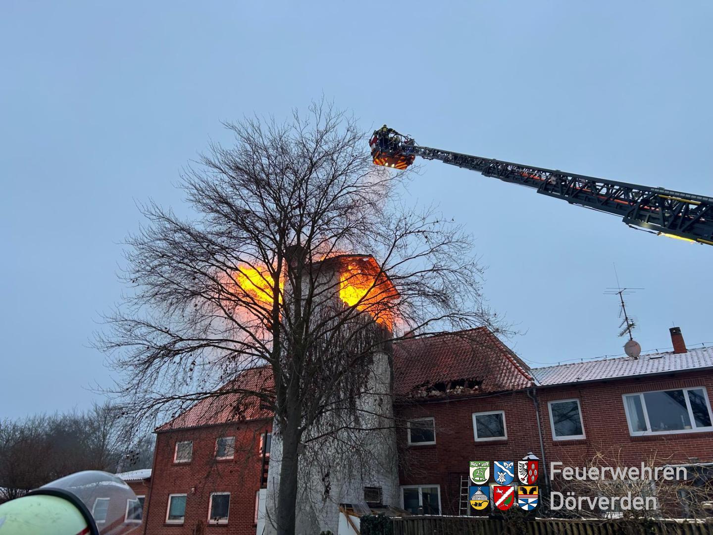 20260125_F3_Schmidt_01
