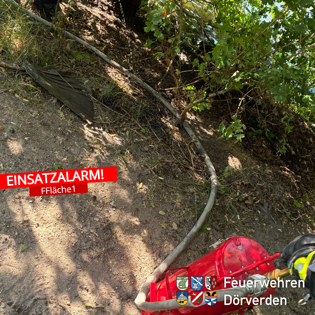 feuerwehr-einsatz-fflaeche1-alte-furt-doerverden-2026-07-08